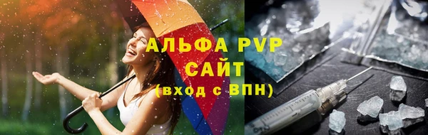 ГАЛЛЮЦИНОГЕННЫЕ ГРИБЫ Осинники