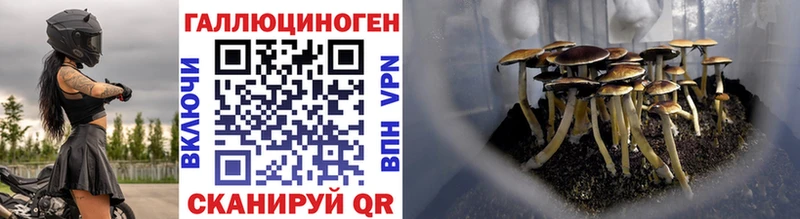 Галлюциногенные грибы прущие грибы  цена наркотик  Можайск 